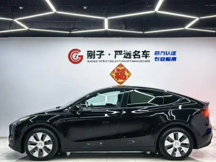 Model Y 2021 Model Standard Battery Life Rear-wheel drive version – фото 4