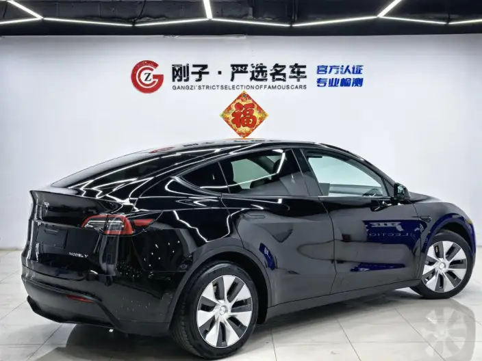 Model Y 2021 Model Standard Battery Life Rear-wheel drive version – фото 7