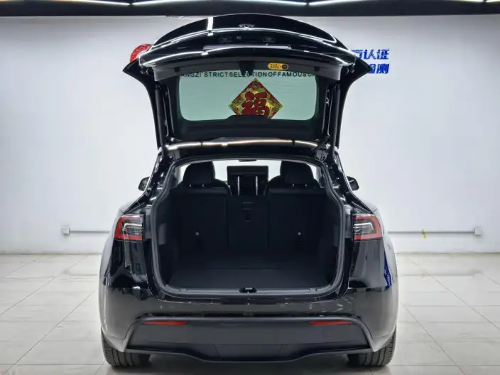 Model Y 2021 Model Standard Battery Life Rear-wheel drive version – фото 10