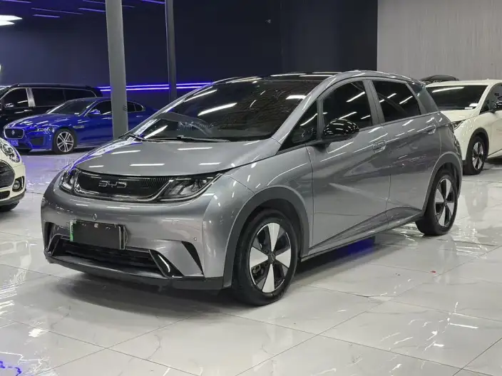 BYD Dolphin 2023 Model Fashion Edition – фото 1