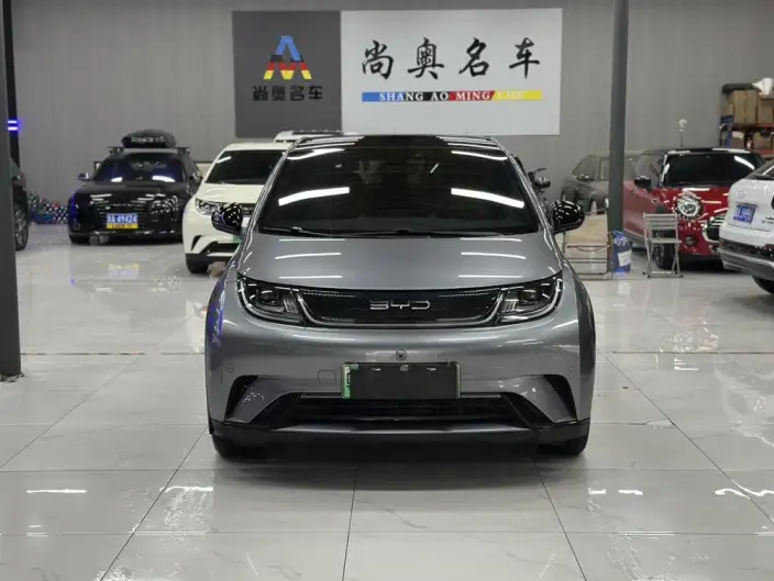 BYD Dolphin 2023 Model Fashion Edition – фото 2