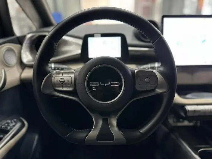 BYD Dolphin 2023 Model Fashion Edition – фото 10