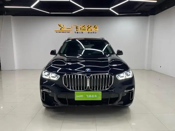 BMW X5 2022 Model xDrive 30Li Exclusive Model M Sports Set – фото 2