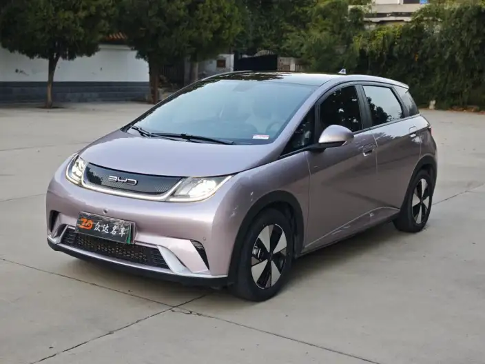 BYD Dolphin 2024 Model Honor Edition 420km Fashion Edition – фото 1