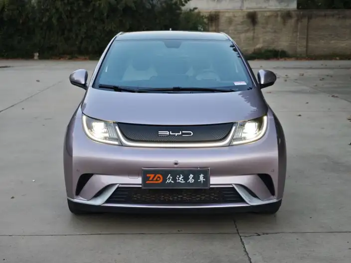 BYD Dolphin 2024 Model Honor Edition 420km Fashion Edition – фото 2