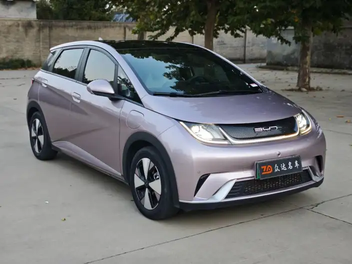 BYD Dolphin 2024 Model Honor Edition 420km Fashion Edition – фото 3