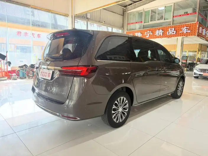 Buick GL8 2023 Model Business class 2.0T Luxury Model – фото 6