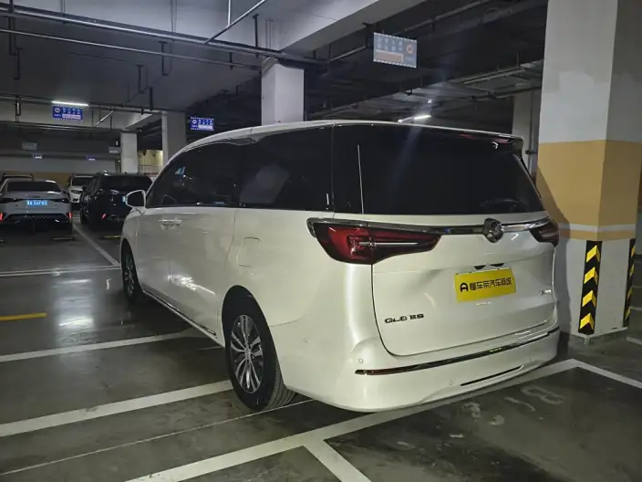 Buick GL8 2023 Model ES Luzun 2.0T Exclusive Model – фото 4