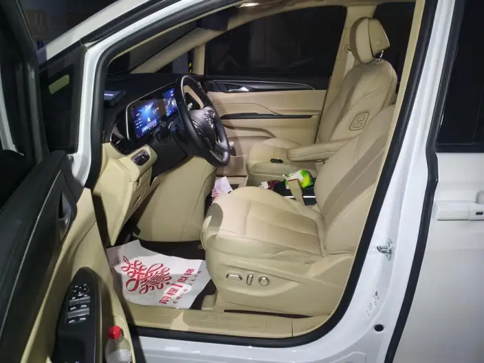 Buick GL8 2023 Model ES Luzun 2.0T Exclusive Model – фото 10