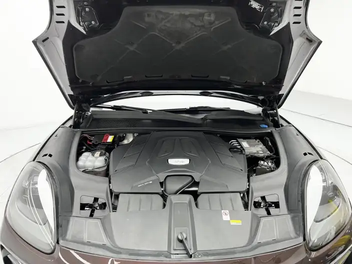 Cayenne 2023 Model Cayenne 3.0T Platinum edition – фото 10