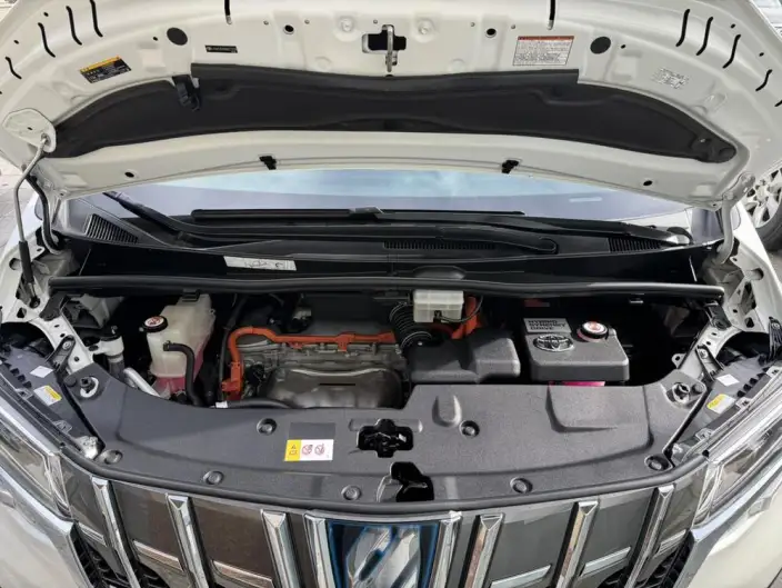 Elfa 2021 Model Hybrid 2.5L Deluxe Edition – фото 8