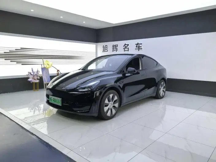 Model Y 2022 Model Rear-wheel drive version – фото 1