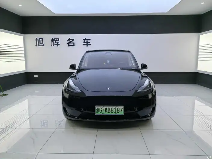 Model Y 2022 Model Rear-wheel drive version – фото 2