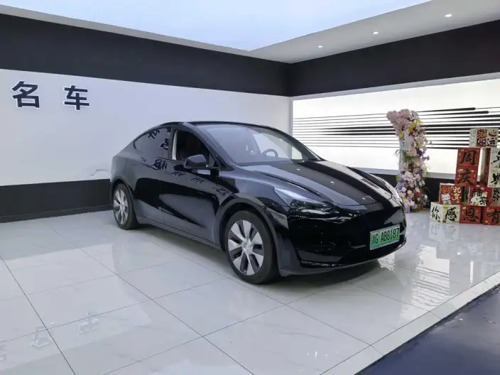 Model Y 2022 Model Rear-wheel drive version – фото 3