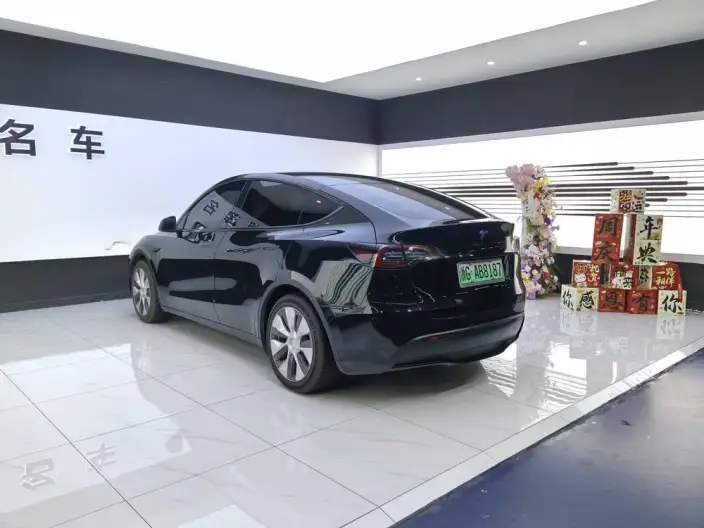 Model Y 2022 Model Rear-wheel drive version – фото 4