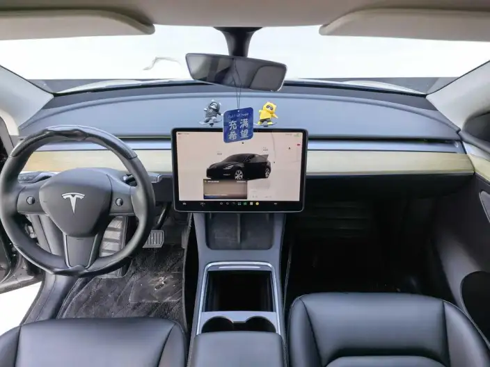 Model Y 2022 Model Rear-wheel drive version – фото 7