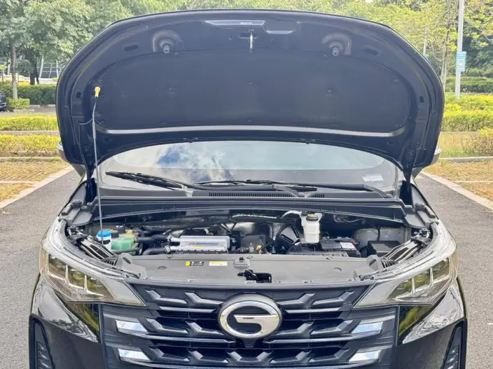 GAC Trumpchi M6 2023 Model PRO 270T WDCT Deluxe Edition – фото 9