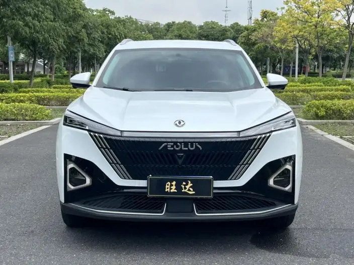 Dongfeng Haohan 2024 Model Honor Edition 1.5T DH-i Luxury Model – фото 2
