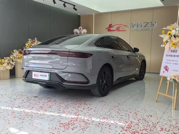 BYD Han DM 2025 Model DM-i 125KM Elite Model – фото 6