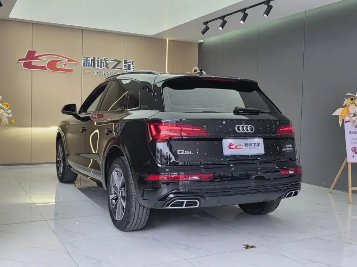 Audi Q5L 2025 Model quattro 45th Anniversary Collector Edition Edition 40TFSI Luxury Dynamic Model – фото 4