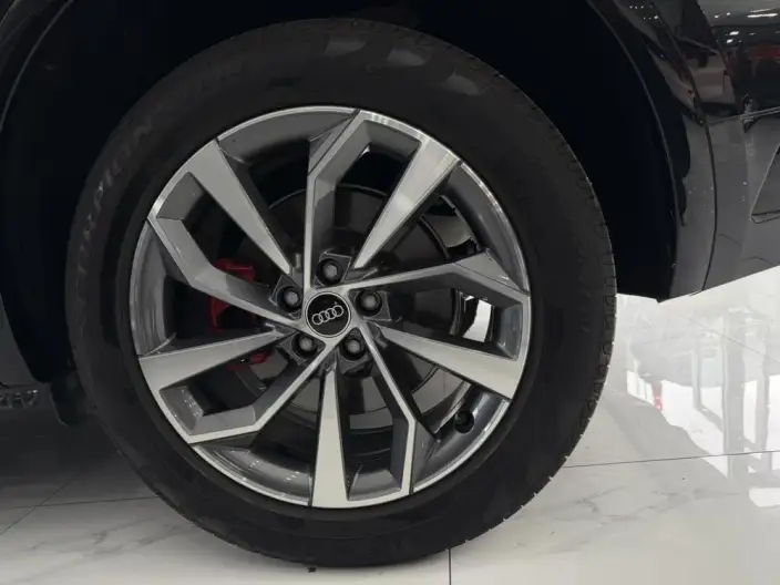Audi Q5L 2025 Model quattro 45th Anniversary Collector Edition Edition 40TFSI Luxury Dynamic Model – фото 7