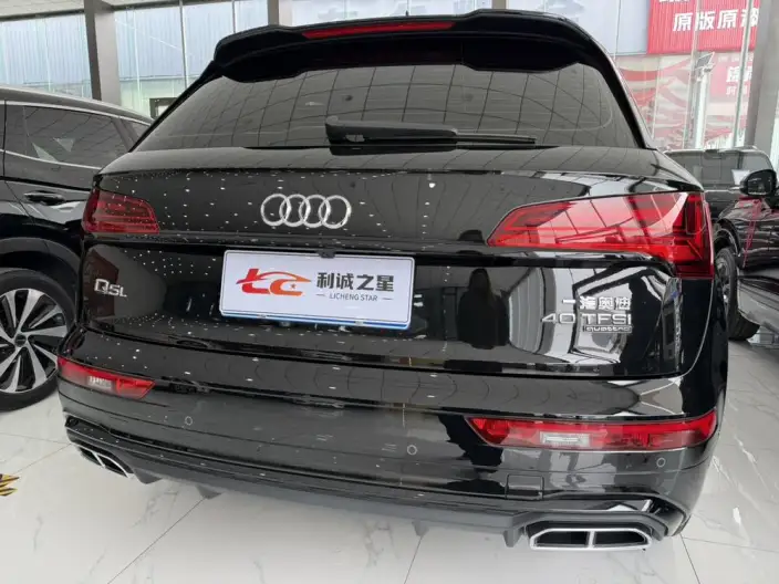 Audi Q5L 2025 Model quattro 45th Anniversary Collector Edition Edition 40TFSI Luxury Dynamic Model – фото 9