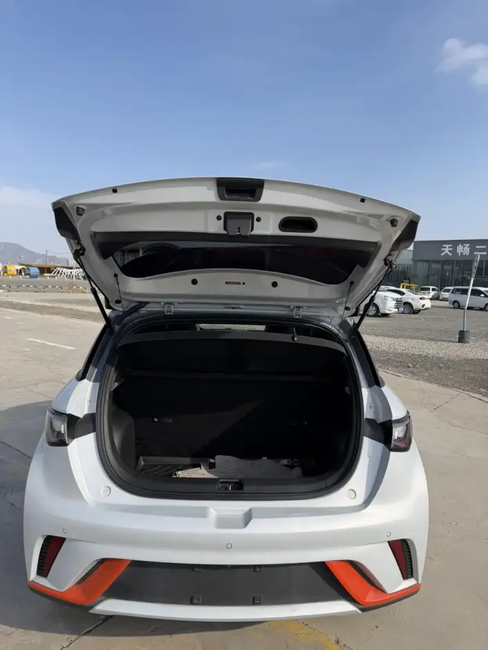 BYD Dolphin 2023 Model Fashion Edition – фото 10