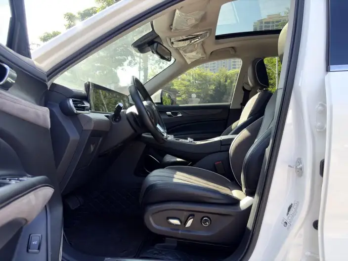 Lingyu 2023 Model EcoBoost 225 7 seat Zun Ling Model 2/2/3 – фото 8
