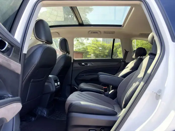 Lingyu 2023 Model EcoBoost 225 7 seat Zun Ling Model 2/2/3 – фото 9