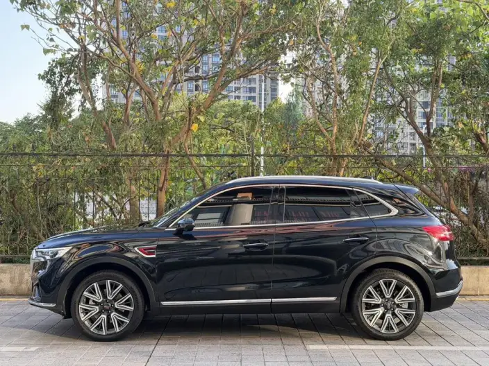 Hongqi HS5 2022 Model 2.0T Smart Flag Enjoy 4WD Edition