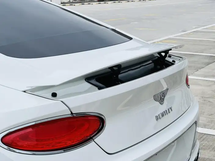 Continental 2024 Model 4.0T GT V8 – фото 9