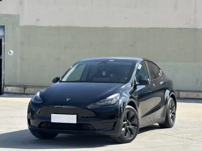 Model Y 2023 Model Rear-wheel drive version – фото 1
