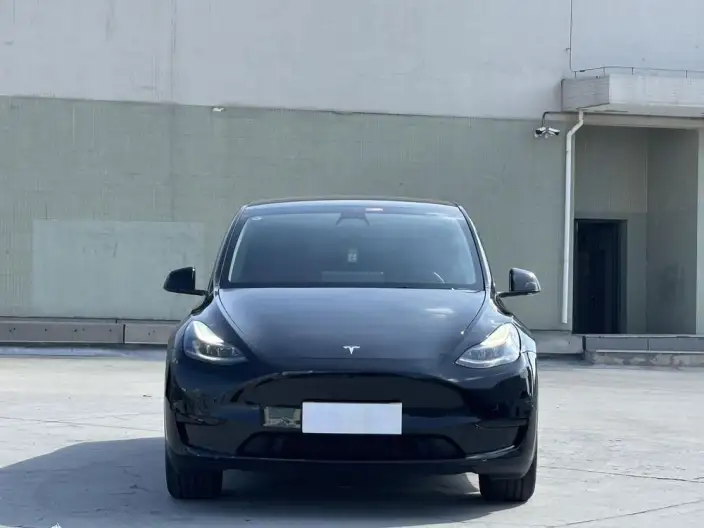 Model Y 2023 Model Rear-wheel drive version – фото 2