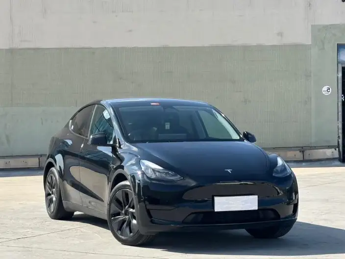 Model Y 2023 Model Rear-wheel drive version – фото 3