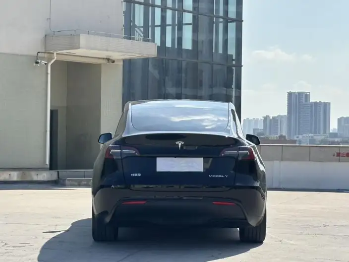 Model Y 2023 Model Rear-wheel drive version – фото 5