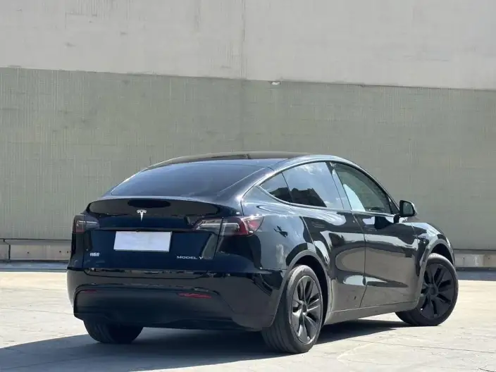 Model Y 2023 Model Rear-wheel drive version – фото 6