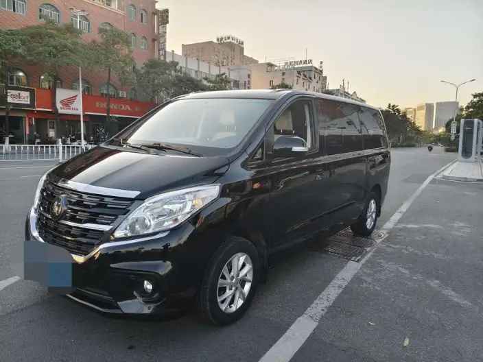 Lingzhi Plus 2024 Model 1.5T Manual Luxury Model 7 seat