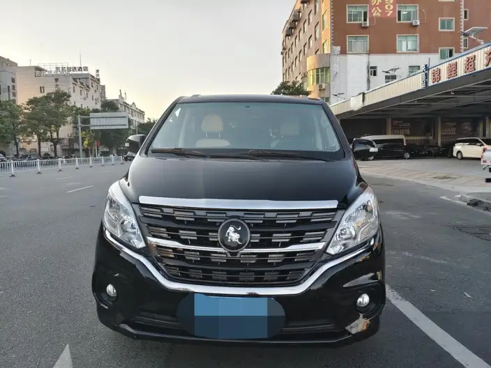 Lingzhi Plus 2024 Model 1.5T Manual Luxury Model 7 seat