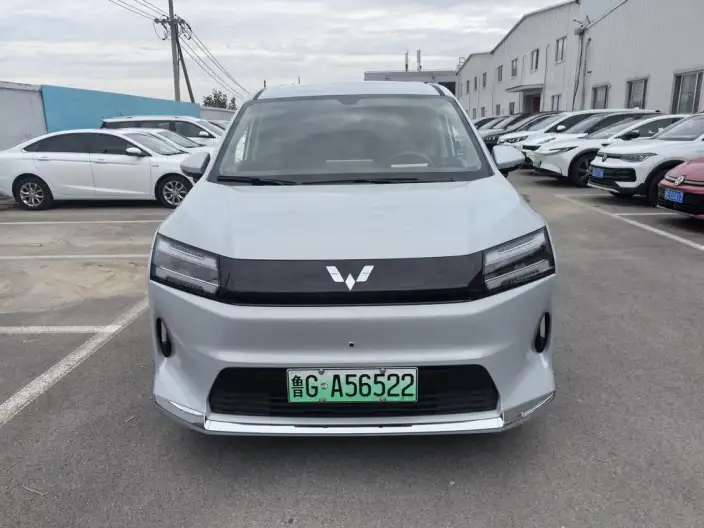 Xingguang 730 EV 2025 Model 500km Luxury Model