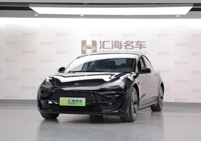Model 3 2022 Model Rear-wheel drive version – фото 1