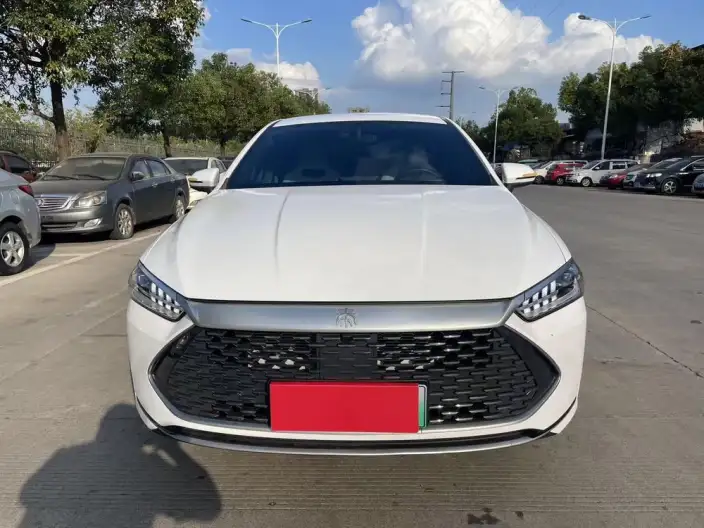 BYD Qin PLUS DM 2024 Model Honor Edition DM-i 55KM Leading Model – фото 2