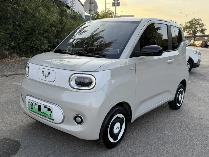 Wuling Hongguang MINIEV 2024 Model 215km Youth Edition Lithium Iron Phosphate