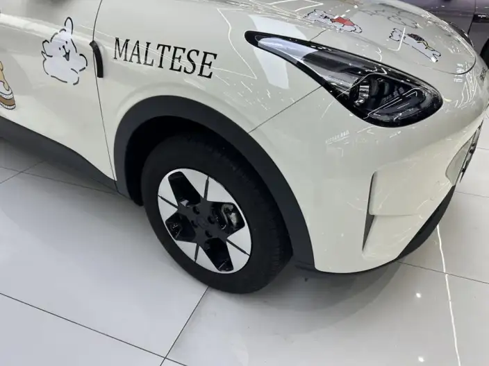 Geely Galaxy StarWish 2026 Model 410km Free Edition – фото 8
