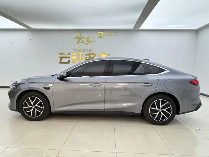 QinL DM 2025 Model Smart Driving Edition DM-i 120KM Leading Model – фото 4