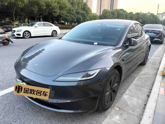 Model 3 2025 Model Rear-wheel drive version – фото 1
