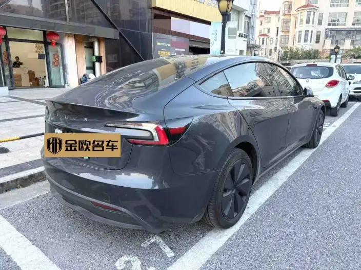 Model 3 2025 Model Rear-wheel drive version – фото 6