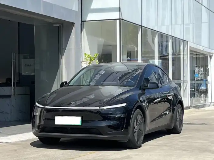 Model Y 2025 Model Long Battery Life Pro All-wheel drive version – фото 1