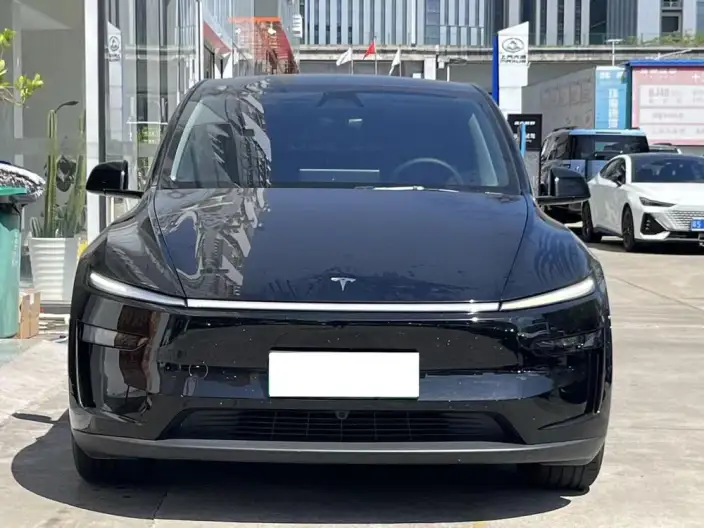 Model Y 2025 Model Long Battery Life Pro All-wheel drive version – фото 2