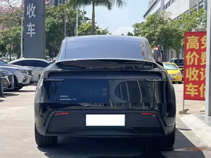 Model Y 2025 Model Long Battery Life Pro All-wheel drive version – фото 3