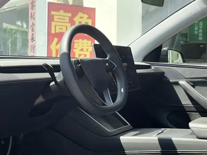 Model Y 2025 Model Long Battery Life Pro All-wheel drive version – фото 7